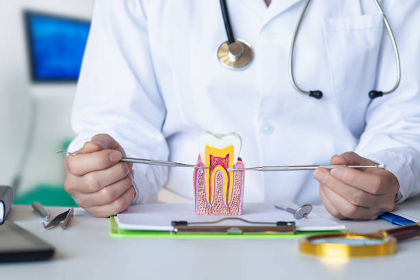 Best Emergency Cosmetic Dentistry in Mount Gilead, NC
